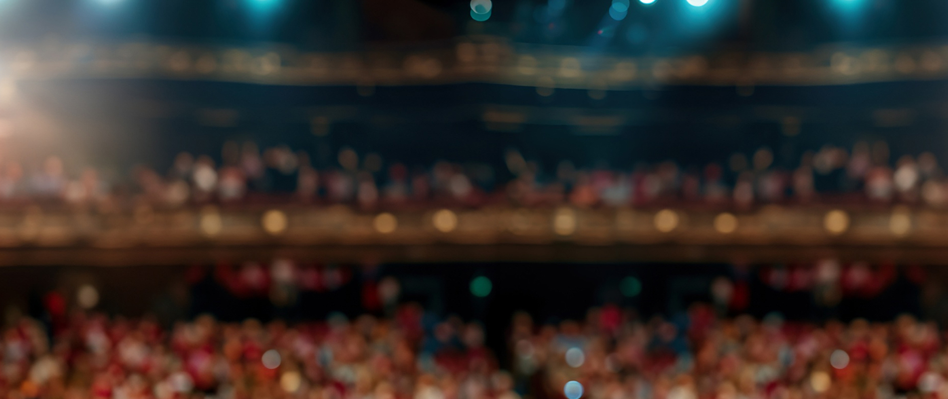 Banner6